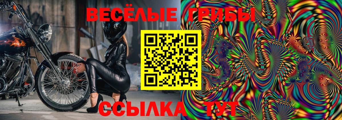 Псилоцибиновые грибы Psilocybine cubensis  Галлюциногенные грибы GOLDEN TEACHER  Артём  Вход с VPN 